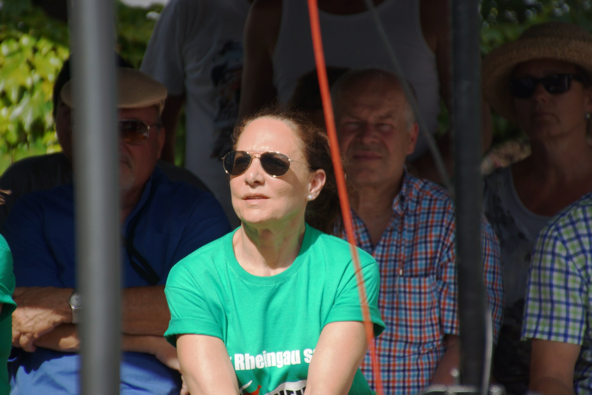 Stephanshausen DEMO Windwahn-20140719DSC08287.jpg